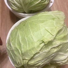 【先着順】畑で採れた野菜の画像