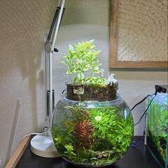 ボトルアクア用上部フィルター