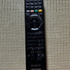 TVのリモコンのみ