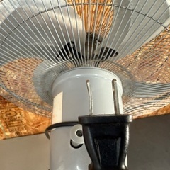 【決まりました】の画像