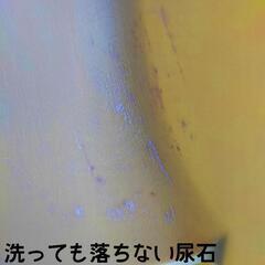 猫 猫トイレ 子猫〜4kgの猫用の画像