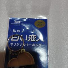 北海道白い恋人パーク限定キーホルダー新品未開封の画像