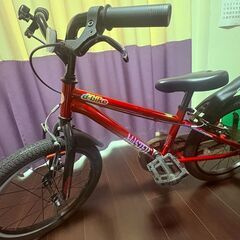 ディーバイク マスター 18インチ レッドの画像