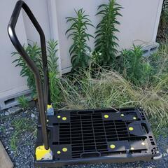 買うまでもない1日だけ使いたい台車（No2）のレンタルです。