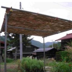 単管パイプ　トタン板　波板いらないって方いませんか？