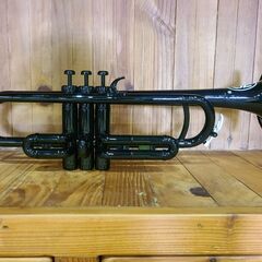 【愛品館 市原店】✔店頭取引限定✔ZO （ゼットオー）プラスチックトランペットの画像