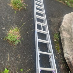 2連ハシゴ アルインコ CX-70D E-Gの画像