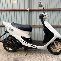ライブDIOZX中期　人気色