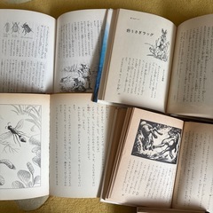 ファーブル昆虫記☆シートン動物記の画像