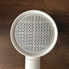 SALONIA サロニア スピーディーイオン ドライヤー ホワイトの画像
