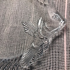 P23　おさかなの大皿ガラス 26cmの画像
