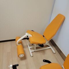 レッグエクステンション、レッグカール