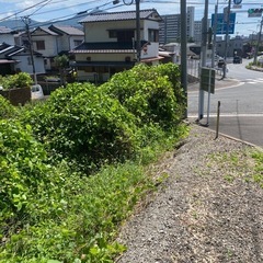 沢山の問い合わせがあり一時募集をとり止めます。草刈り、剪定…