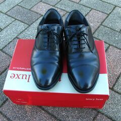texcy luxe  ストレートチップ　内羽の画像