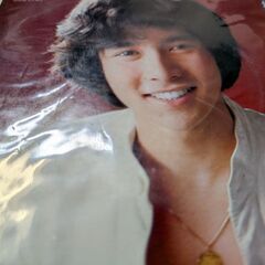 (中古EPレコード)誘われてフラメンコ−郷ひろみ（14）