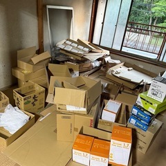 ダンボール
