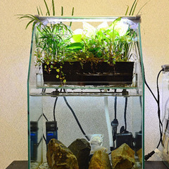 水槽とエーハイム外部フィルター　アクアリウムセットの画像