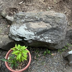 庭石