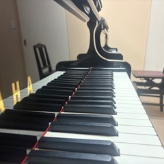 🎹ピアノ連弾、二台ピアノ🎹一緒に弾いてくださる方🎶