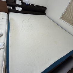 1都3県送料格安】自社配送のみ コアラベッドフレーム クイーン