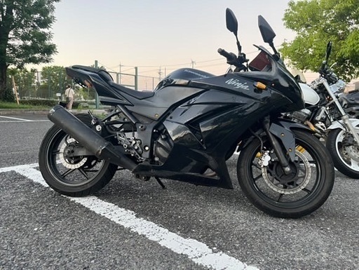 Kawasaki ニンジャ250R