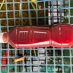 PSB 2の画像