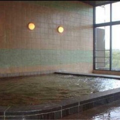 ナチュラルグリーンパークホテル（江汐公園内） 無料宿泊券🎫1枚で4名様OK！ の画像
