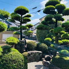 【取引要相談】庭木、岩の撤去を考えておりますの画像