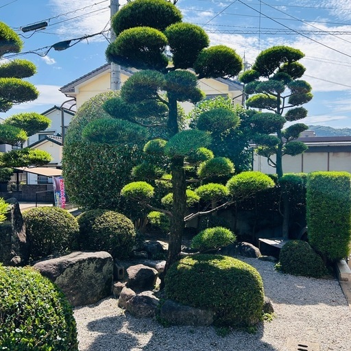 【取引要相談】庭木、岩の撤去を考えております
