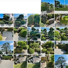 【取引要相談】庭木、岩の撤去を考えておりますの画像