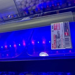 60cm水槽用ガラス蓋（2枚で400円）