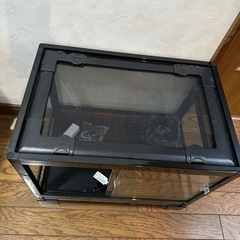三晃商会 SANKO パンテオン ブラック BK4535の画像