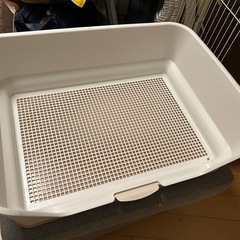 リッチェル　トイレトレー　ワイド　犬用トイレ