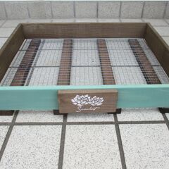 ４段トレー　多肉植物棚　木製プランター　多肉棚　トレー　アガベ　斑入り　韓国苗　多肉　多肉植物の画像
