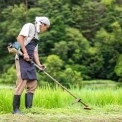 草刈りします
