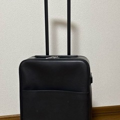 LOUIS VUITTONキャリーケース