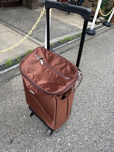 SWANY社製キャリーバック