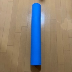 ストレッチポール ブルー