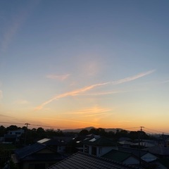 バレーボールチームを探しています