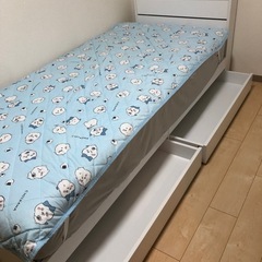 ベット　決まりました