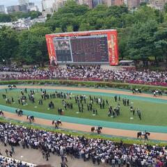 競馬🏇ウマ友探し🏇