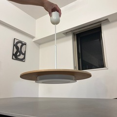 シーリングライト