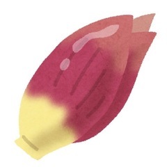 茗荷（ミョウガ）を育てたい