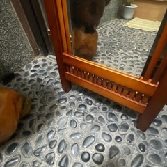 アンテイックスタンドミラー　の画像