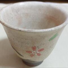 さくらの柄　湯呑み　日本茶　茶器　4客