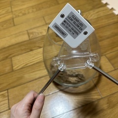 GEX クリアLED リーフグロー EX ※注釈ありの画像