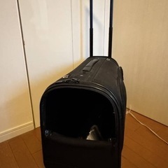 ペットキャリーバッグ