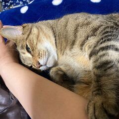 父の代わりに、この子の家族になってくれませんか？（5歳♂ト…