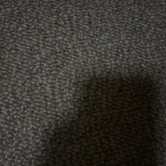 ニトリ　カーペット