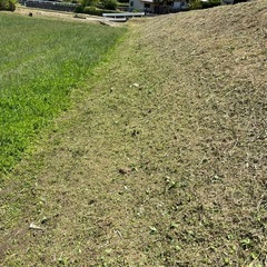 伐採　草刈り　草むしり　防草シートなど
